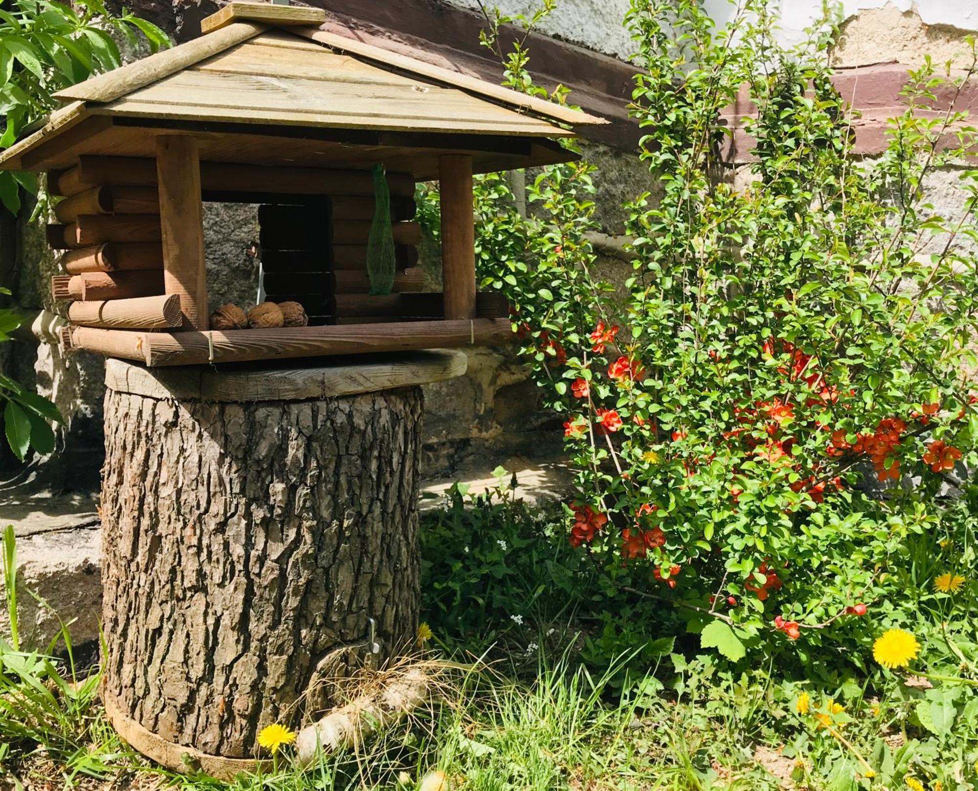Apartamenty Pod Skocznia Karpacz Cameră foto